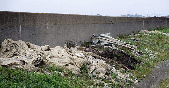 用水路の「壁」に沿って、　ビニールハウスの残骸の様な「ゴミ」が捨てられてありました。