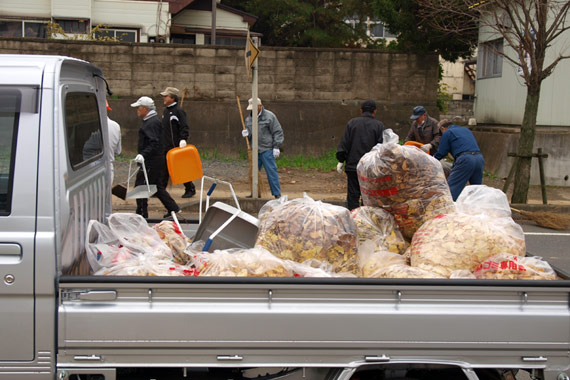 竹箒で落ち葉を集めて袋に入れ、軽トラの荷台に積んで行きます
